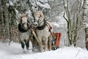 sleigh ride, horses, winter-549727.jpg
