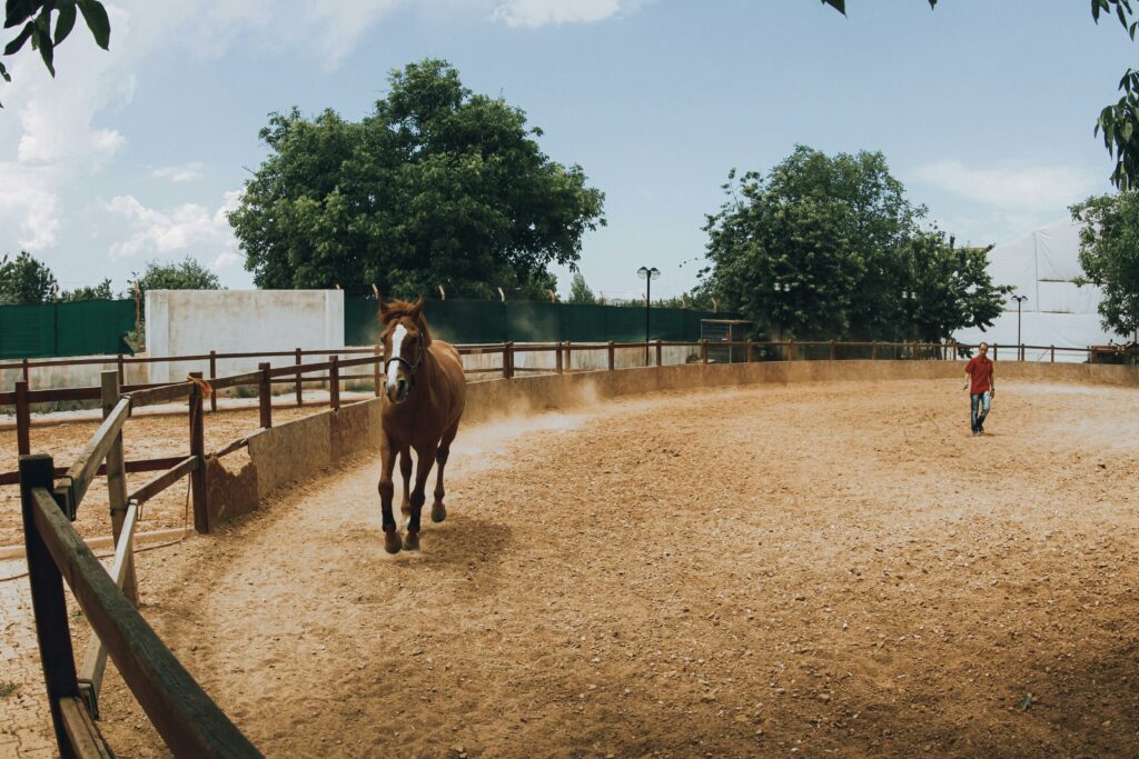 Brown Horse Running Beside a Fence