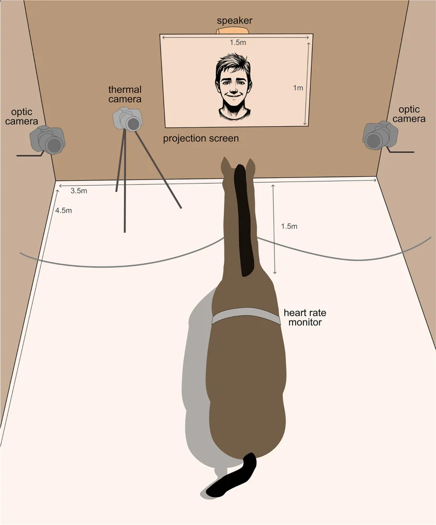 41598_2025_98794_Fig2_HTML