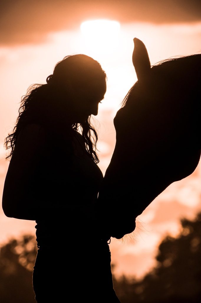 sunset, silhouette, afterglow, eve, horse, animal, human, woman, nature, love, connectedness, trust